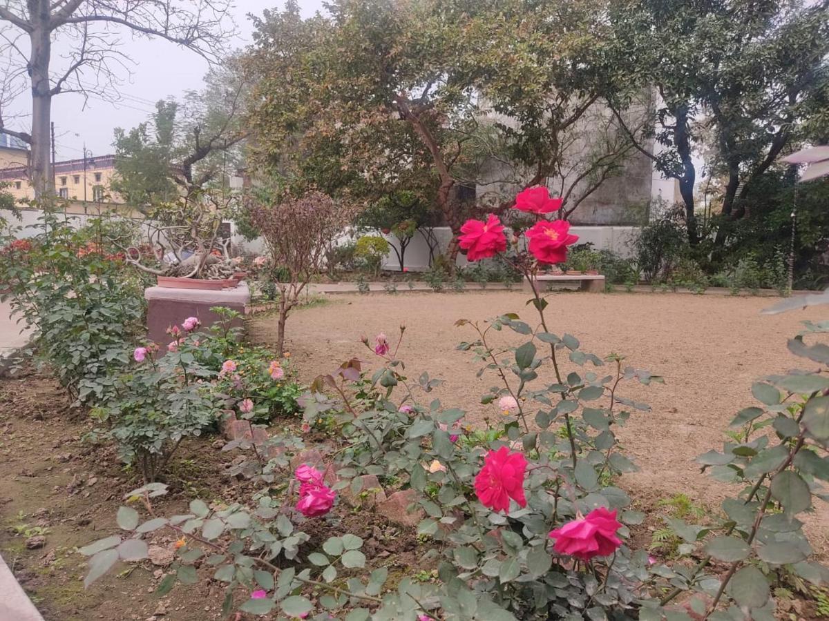 Vatika Homestay فاراناسي المظهر الخارجي الصورة